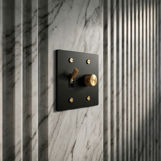 Matte Black & Brass Toggle Switch + Dimmer - 2G