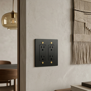 Matte Black & Brass Duplex Outlet - 2G