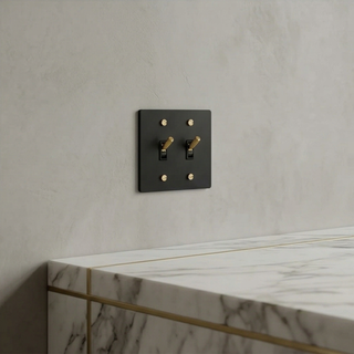 Matte Black & Brass Toggle Switch - 2G