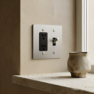 Stainless Steel Toggle Switch + Outlet 2G