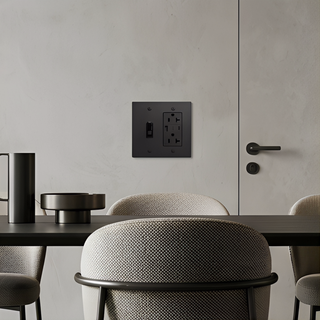 2G Toggle Switch + Outlet with USB-C & USB-A