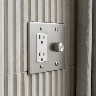 Stainless Steel Dimmer + Outlet 2G