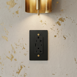 Matte Black & Brass Duplex Outlet with USB-C & USB-A - 1G