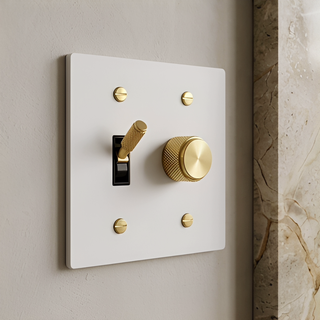 Ivory white and brass 2-gang toggle switch and dimmer plate