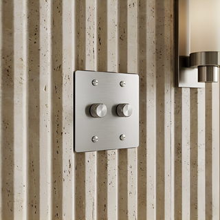 Stainless Steel Dimmer - 2G