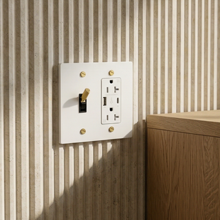 2G Toggle Switch + Outlet with USB-C & USB-A