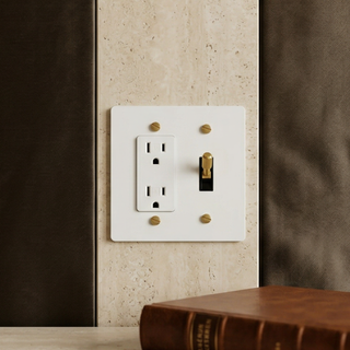 2G Toggle Switch + Outlet