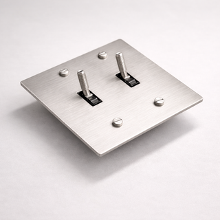 Stainless Steel Toggle Switch - 2G