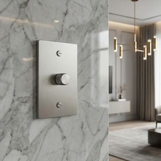 Stainless Steel Dimmer - 1G