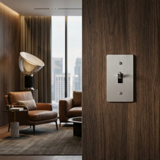 Stainless Steel Toggle Switch - 1G