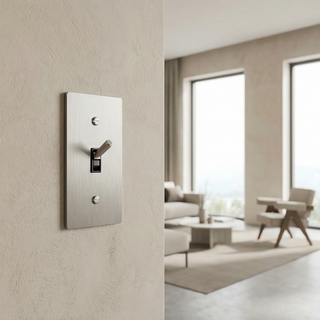 Toggle Switch