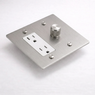Stainless Steel Dimmer + Outlet 2G