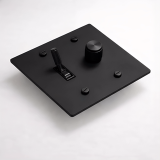 2G Toggle Switch + Dimmer