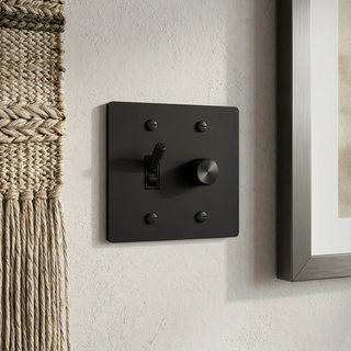 2G Toggle Switch + Dimmer