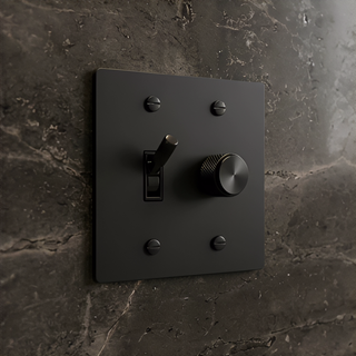 2G Toggle Switch + Dimmer