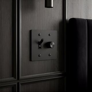 2G Toggle Switch + Dimmer