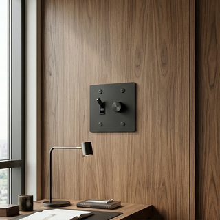 2G Toggle Switch + Dimmer