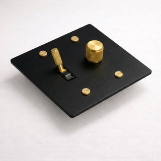 2G Toggle Switch + Dimmer