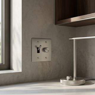 2G Toggle Switch + Dimmer