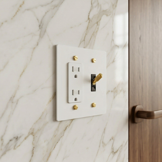 2G Toggle Switch + Outlet