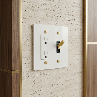 2G Toggle Switch + Outlet