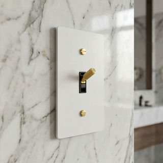 Toggle Switch