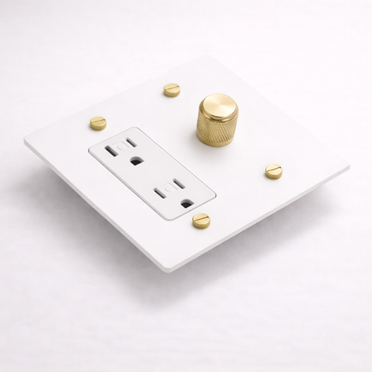 2G Dimmer + Outlet