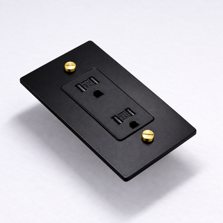 Duplex outlet in Matte Black & Brass