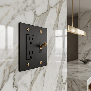 2G Toggle Switch + Outlet