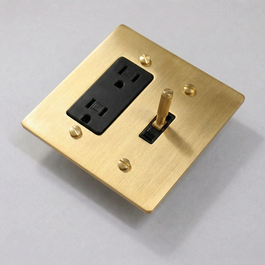 2G Toggle Switch + Outlet