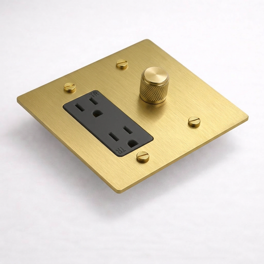 2G Dimmer + Outlet