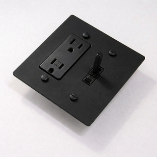 2G Toggle Switch + Outlet