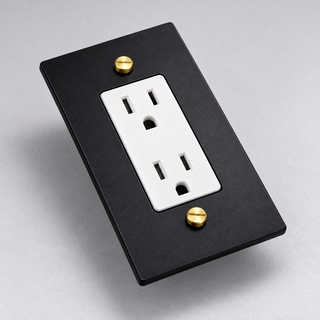 Duplex Outlet — Matte Black & Brass · 1-Gang · Duplex – White — configuration render