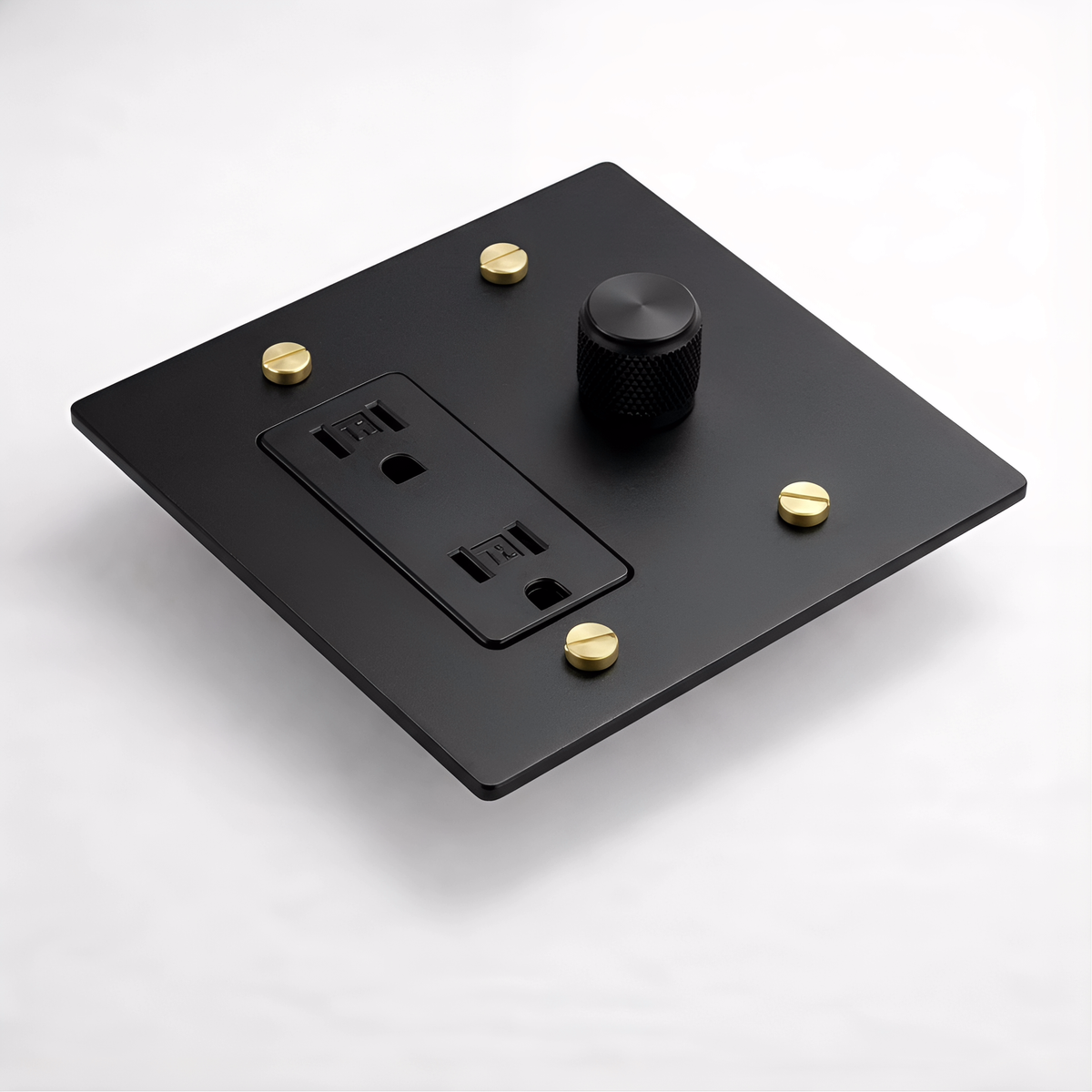 2G Dimmer + Outlet