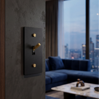 Matte Black & Brass Toggle Switch - 1G