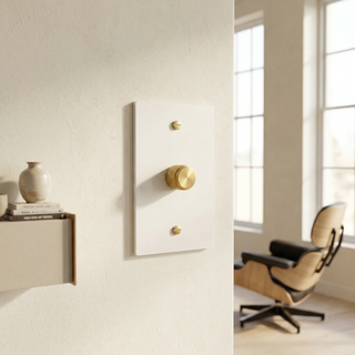 Ivory White & Brass Dimmer - 1G