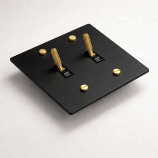 Matte Black & Brass Toggle Switch - 2G