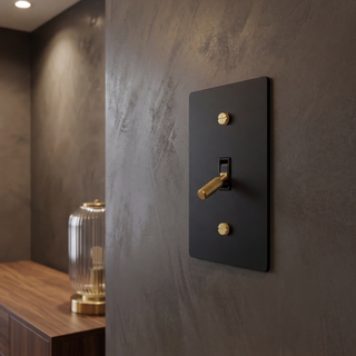 Matte Black & Brass Toggle Switch - 1G