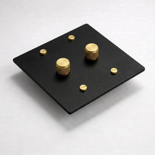 2G Dimmer